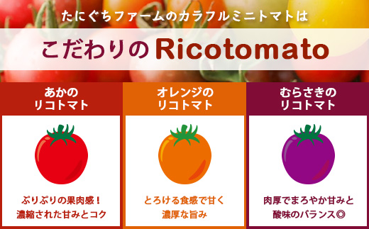 ãå
è¡äºçŽã ã«ã©ãã«ããããã ãå°éããã¯ã 120gx3pããã«ãã¡ãã¡ãŒã ã«ã©ãã«ããããã 360g ãšããã«ãªãããã éè ãšãŸãš ããã ãªã³ãã³ äœè³ç£ äœè³ç 鹿島åžãA-211