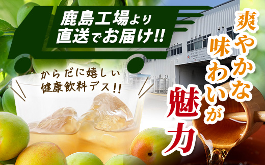 玄米黒酢と梅はちみつ 125ml×24本 3回  3カ月 定期便 清涼飲料水 飲みやすい サンレイ 紙パック 飲料 飲み物 さわやか サッパリ 健康 美容 抗酸化作用 リピーター 美味しい ストック 定期 常備 人気 送料無料 佐賀県 鹿島市 E-188