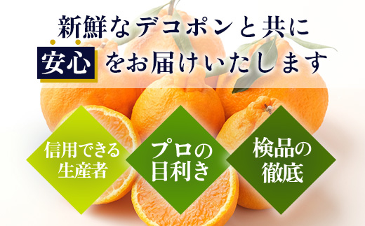 äºçŽåä» åºæºã¯ãªã¢ã®é«çŽææ©ããã³ãã³ãçŽ5kg äžç¥ç« ããã¬ã ã§ããœã ã¿ãã èæ ãã«ã³ ãªã¬ã³ãž ææ© ãã«ãŒã æç© èŽãç© èŽç ãã¬ãŒã³ã é«çŽ ãã©ã³ã éå® ã®ãã B-672