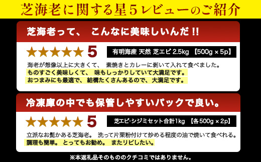A-233 国産天然海老 有明海産 生芝エビ 刺身用 200g（100g×2パック）生食用 ｜化粧箱入り のし対応 贈答用 ギフト お中元 お歳暮 