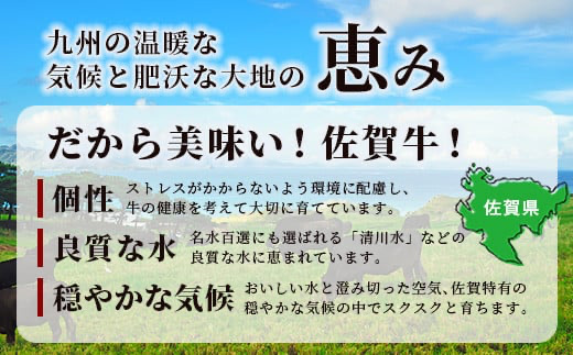 【6回定期】佐賀牛ヒレシャトーブリアン200g×2枚　V-64