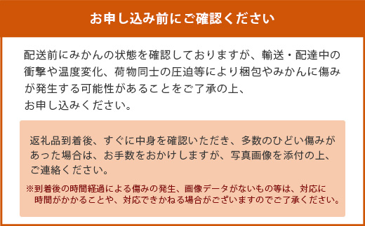 【先行予約】（2026年11月上旬～発送）”わーがと”鹿島産がばい訳アリみかん 約10kg【サイズ別】 【期日指定不可】みかん ミカン 蜜柑 柑橘 果物 フルーツ 甘い ふるさと納税 佐賀県 鹿島市 A-90