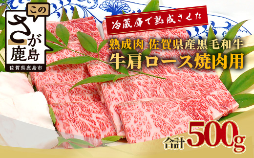 E-49 ãçæèãäœè³çç£é»æ¯åç çè©ããŒã¹ çŒèçš 500ïœ