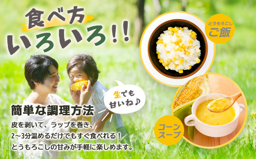 約受付【限定30セット】 スイートコーン （ゴールドラッシュ） 10～12本入 朝採れ とうもろこし トウモロコシ 野菜 糖度17~18℃以上 鹿島市産 佐賀県産 春 夏 旬【2025年6月上旬～順次発送】 B-319