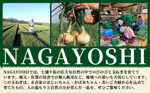 甘～い！新たまねぎ 約5kg (MLサイズ）生産者直送！★大自然育ち【2026年4月より順次発送】タマネギ 玉葱 新タマ 新玉ねぎ サラダ 惣菜 お料理 ストック 箱買 美味しい 甘い 常備野菜 佐賀県 鹿島市産 人気 送料無料 A-180