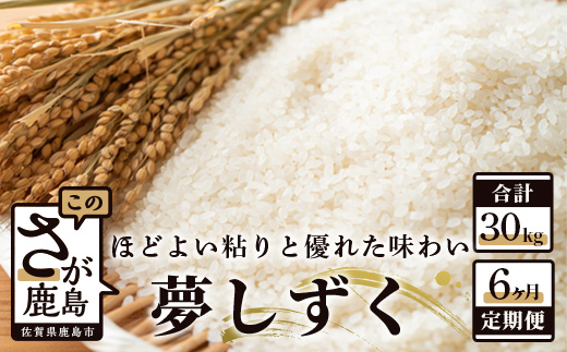 定期便 6ヶ月 佐賀県産 夢しずく 白米 5kg《6ヶ月連続 毎月お届け》F-30 6回