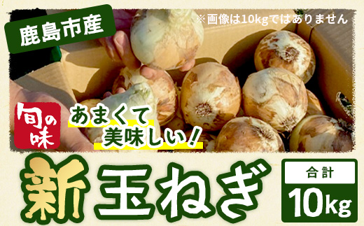 縲蝉コ育エ蜿嶺サ倥鷹ケソ蟲カ蟶ら肇 譁ー邇峨ュ縺 蜷郁ィ10kg B-842 縺溘∪縺ュ縺 邇芽続 繧オ繝ゥ繝 譁咏炊縲2026蟷エ4譛井クュ譌ャ繧医j鬆谺。逋コ騾√