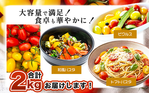 岩氞ããã¡ã® ã«ã©ãã« ããããã | ã¢ã€ã³èµ€ïœ¥é»MIX 2kg |ãèŸ²ææ°Žç£å€§è£è³åè³ãææ©è¥æã»ååŠè¥æäžäœ¿çš | çç£è
çŽé éè ããã 2kg ãšãŸãš ããããã ãµã©ã ããã æ¬ æ°é®® ãã〠ãåŒåœ äººæ° éæç¡æ äœè³ç é¹¿å³¶åž C-186