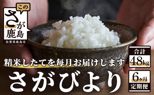 J-18【新鮮米】佐賀県鹿島市産さがびより 白米８kg定期便（６か月お届け）【1等米】