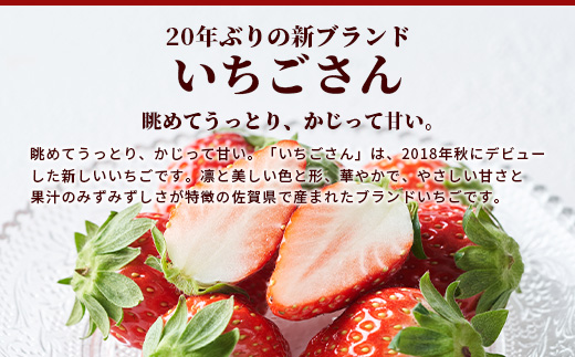 【予約受付】 佐賀県産いちご 「いちごさん」 約240ｇ×4パック B-465