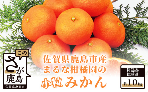 【期間限定】【2023年9月下旬出荷開始予定】A-64 鹿島 まるな柑橘園の小粒みかん 約１０kg