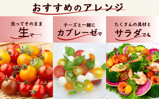 ãå
è¡äºçŽã ã«ã©ãã«ããããã ãå°éããã¯ã 120gx3pããã«ãã¡ãã¡ãŒã ã«ã©ãã«ããããã 360g ãšããã«ãªãããã éè ãšãŸãš ããã ãªã³ãã³ äœè³ç£ äœè³ç 鹿島åžãA-211