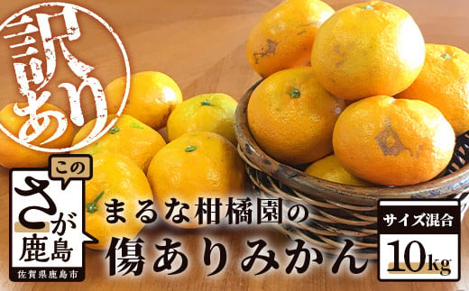 B-455 【期間限定】 【2024年9月下旬出荷開始予定】生産者応援！まるな柑橘園の傷ありみかん 約10kg サイズ混合 訳あり