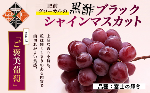 黒酢ブラックシャインマスカット『富士の輝き 1房（約700g）』【先行予約】【2026年8月下旬～9月下旬発送予定】上品な香りと甘みで満たされる宝石級ぶどう 黒酢アミノ酸効果の旨味 新鮮 生産者直送 果物 葡萄 ぶどう 佐賀県 鹿島市 送料無料 C-156