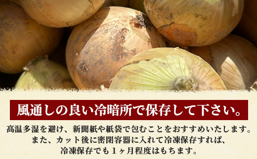 甘～い！新鮮！新たまねぎ 約10kg (MLサイズ）生産者直送！★大自然育ち【2026年4月より順次発送】タマネギ 玉葱 新タマ 新玉ねぎ サラダ 惣菜 お料理 ストック 箱買 美味しい 甘い 常備野菜 佐賀県 鹿島市産 人気 送料無料 B-737