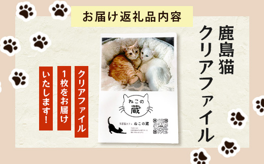 鹿島猫クリアファイル｜保護猫カフェねこの蔵 クリアファイル 保護猫 猫 古民家カフェ 支援 鹿島市 猫カフェ カフェ プレゼント　AA-63