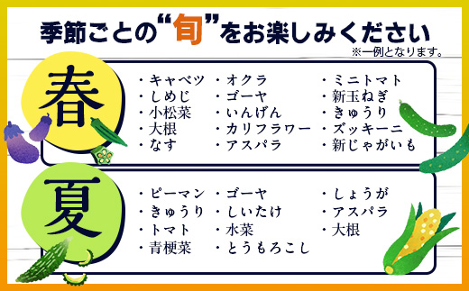 E-72 【６ヶ月お届け】野菜 旬のおまかせ野菜BOX 8~10品目 | ふるさと納税 野菜 定期便 定期 やさい 野菜セット 詰め合わせ 旬 新鮮 産地直送 大容量 ふるさと 佐賀県 鹿島市 安全安心 リピーター オススメ 人気 送料無料