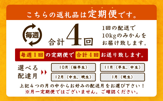 鹿島市産　まるな柑橘園の温州みかん　毎週１回　月４回定期便　F-62