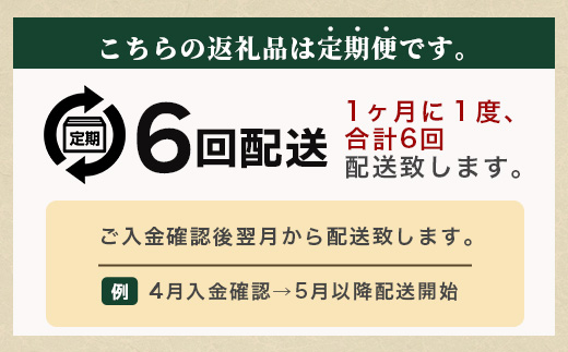 【6回定期便】【先行受付】2026年12月下旬より順次発送予定 とりこになるトマト 3.5kg以上 農家直送 佐賀県鹿島市 たにぐちファーム Ricotomato（リコトマト）～とりこになるトマト～ E-107