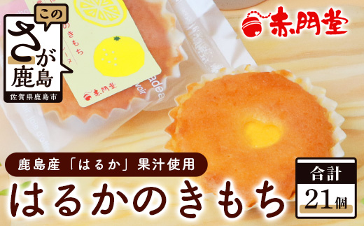 【赤門堂の焼菓子】はるかのきもち 21個 マドレーヌ 焼き菓子 焼菓子 お菓子 郷土菓子 ご当地スイーツ 焼き菓子 焼菓子 贈物 プレゼント ギフト 贈り物 お土産 おやつ B-641