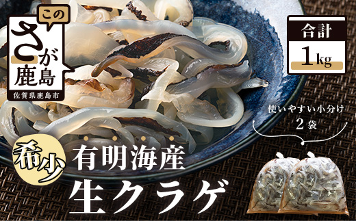 AA-32【有明海産】希少！生クラゲ　500g×2（ビゼンクラゲ）