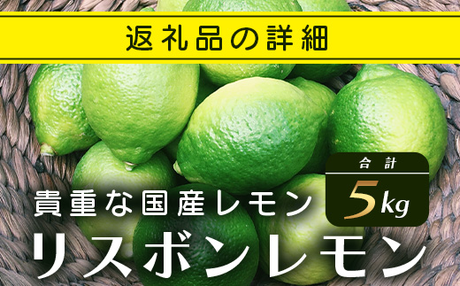 B-367 リスボンレモン【約5kg】メディアも注目の柑橘類の名人直送！レモン れもん 檸檬 果物 生搾り 料理 菓子 サワー お酒 国産 佐賀県鹿島市産 人気 