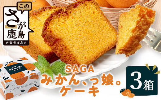 SAGAみかん、っ娘。ケーキ 3箱（合計12個入り）B-859 スイーツ ケーキ 焼き菓子 焼菓子 みかん ミカン 蜜柑 みかんケーキ ミカンケーキ お土産 ご当地スイーツ プレゼント ギフト おみやげ
