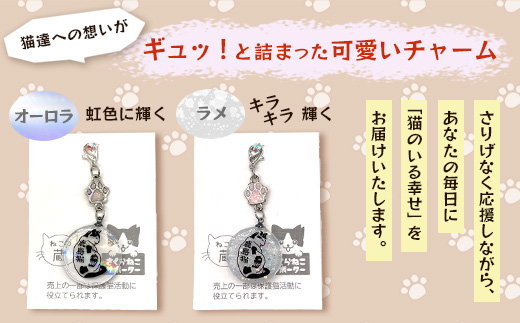 鹿島猫チャーム｜保護猫カフェねこの蔵 チャーム 保護猫 猫 古民家カフェ 支援 鹿島市 猫カフェ カフェ プレゼント　AA-64