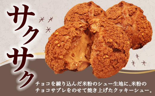 AA-26ããç±³ã®ãã§ã³ã·ã¥ãŒã¯ãªãŒã ãïŒåå
¥ã