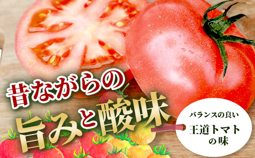 【先行予約】 たにぐちファーム とりこになるトマト 【3.5kg以上×4回定期便】【2024年12月から出荷】Ricotomato とりこになるトマト D-160