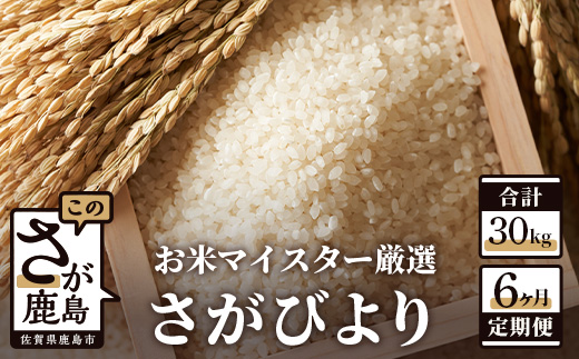 定期便 6ヶ月 佐賀県産 さがびより 白米 5kg《6ヶ月連続 毎月お届け》F-28 6回