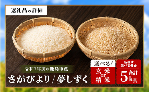 令和7年産 鹿島市産 [さがびよりor夢しずく] 5kg 1袋 【品種指定不可】 玄米 精米 10月初旬から発送開始予定　C-154