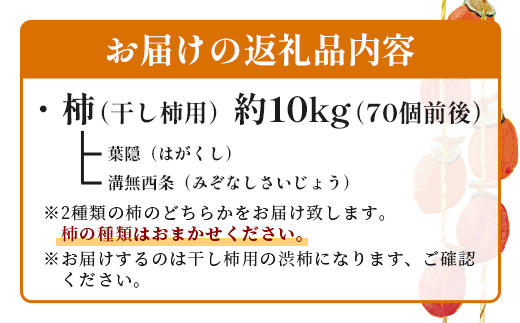 柿【干し柿用】約10kg（70個前後）渋柿 B-794