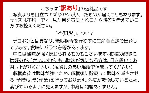 B-292【訳アリ・お届け期日指定不可】 ”よかんばい”鹿島産不知火  約11kg（イタミ保証含む）