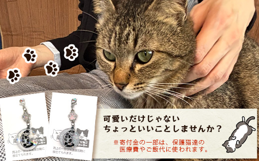 鹿島猫チャーム｜保護猫カフェねこの蔵 チャーム 保護猫 猫 古民家カフェ 支援 鹿島市 猫カフェ カフェ プレゼント　AA-64