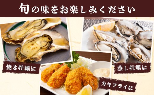 【期間限定】【牡蠣】【有明海】かしまん牡蠣(養殖）殻付き　3kg　かき　佐賀県　鹿島市　有明海　C-114