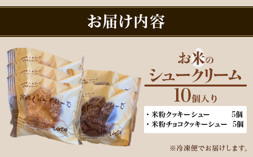 B-480　米粉のクッキーシューと米粉のチョコクッキーシュー10個詰め合わせ