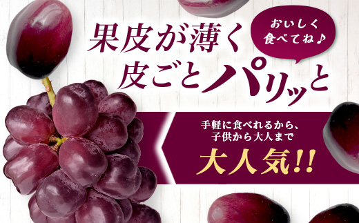 ブラックシャインマスカット 富士の輝き 2房 1400g以上 【先行予約】【2026年8月下旬〜9月下旬発送予定】希少 高糖度 ブラック シャインマスカット マスカット フルーツ 果物 ぶどう 新鮮 生産者直送 葡萄 佐賀県 鹿島市 送料無料 D-300