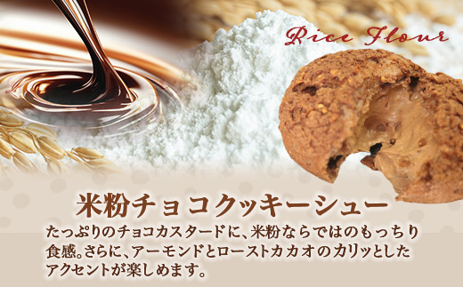 B-480　米粉のクッキーシューと米粉のチョコクッキーシュー10個詰め合わせ