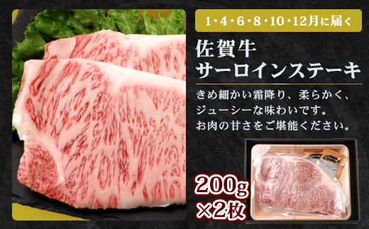 【定期便12回】佐賀牛 ステーキ・焼肉 定期便 サーロイン 焼肉 焼き肉 ステーキ V-47