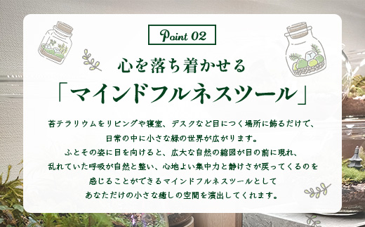 H-53　苔テラリウム　手入れ簡単 癒やしのインテリア 卓上サイズ 誕生日 プレゼント雑貨 敬老の日 贈り物 観葉植物 初心者 鹿島市産 / mossty