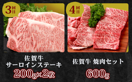 【定期便12回】佐賀牛 食べ比べ 定期便 モモスライス 肩ロース サーロインステーキ 切り落し ローストビーフ 焼肉 サイコロステーキ V-46