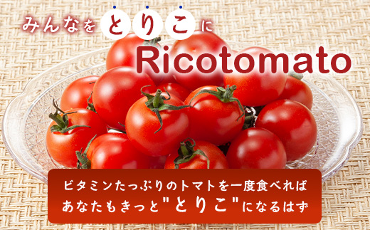 【先行予約】完熟ミニトマト 【少量パック】 120gx3p　たにぐちファーム 完熟ミニトマト 360g とりこになるトマト 野菜 とまと トマト リコピン 佐賀産 佐賀県 鹿島市　A-212