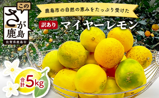 【訳あり】【産地直送】【農家直送】佐賀県鹿島市産 マイヤーレモン 5kg サイズ混合 酸味 美味しい お酒 生絞り 料理 お菓子 家庭用 【９月～2月頃まで配送】 A-191