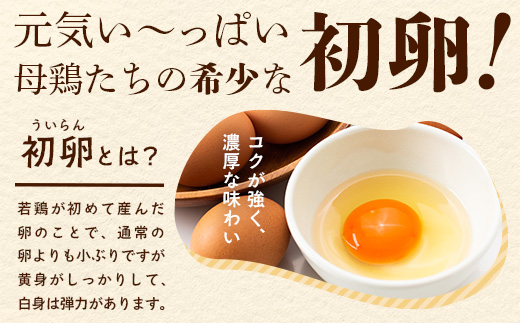 D-117【定期便】佐賀鹿島産 平飼い初卵「うみとやまとこっこ」 上田養鶏場 たまご60個×3回