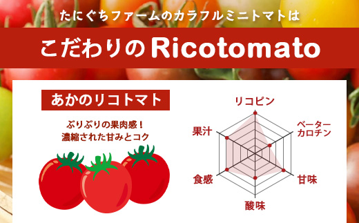【先行予約】完熟ミニトマト 【少量パック】 120gx3p　たにぐちファーム 完熟ミニトマト 360g とりこになるトマト 野菜 とまと トマト リコピン 佐賀産 佐賀県 鹿島市　A-212