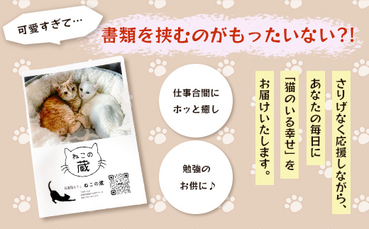 鹿島猫クリアファイル｜保護猫カフェねこの蔵 クリアファイル 保護猫 猫 古民家カフェ 支援 鹿島市 猫カフェ カフェ プレゼント　AA-63
