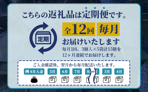 定期便【12回定期】さがん氷 丸氷 3個×5袋×12回（合計180個）N-29 藤津製氷 こおり 氷 ロック アイス 佐賀 鹿島 九州