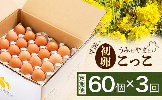 D-117【定期便】佐賀鹿島産 平飼い初卵「うみとやまとこっこ」 上田養鶏場 たまご60個×3回