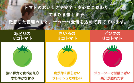 ãå
è¡äºçŽã ã«ã©ãã«ããããã ãå°éããã¯ã 120gx3pããã«ãã¡ãã¡ãŒã ã«ã©ãã«ããããã 360g ãšããã«ãªãããã éè ãšãŸãš ããã ãªã³ãã³ äœè³ç£ äœè³ç 鹿島åžãA-211